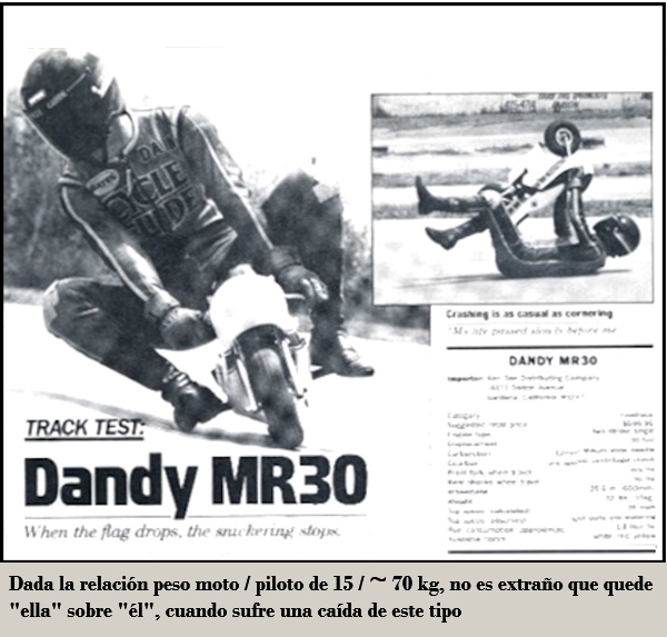 DANDY POCKET