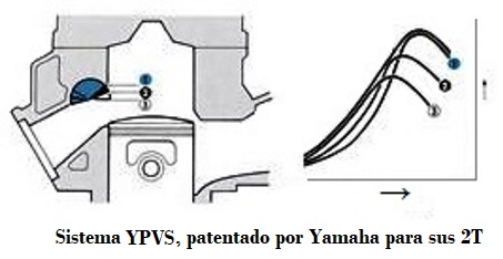 YPVS.jpg